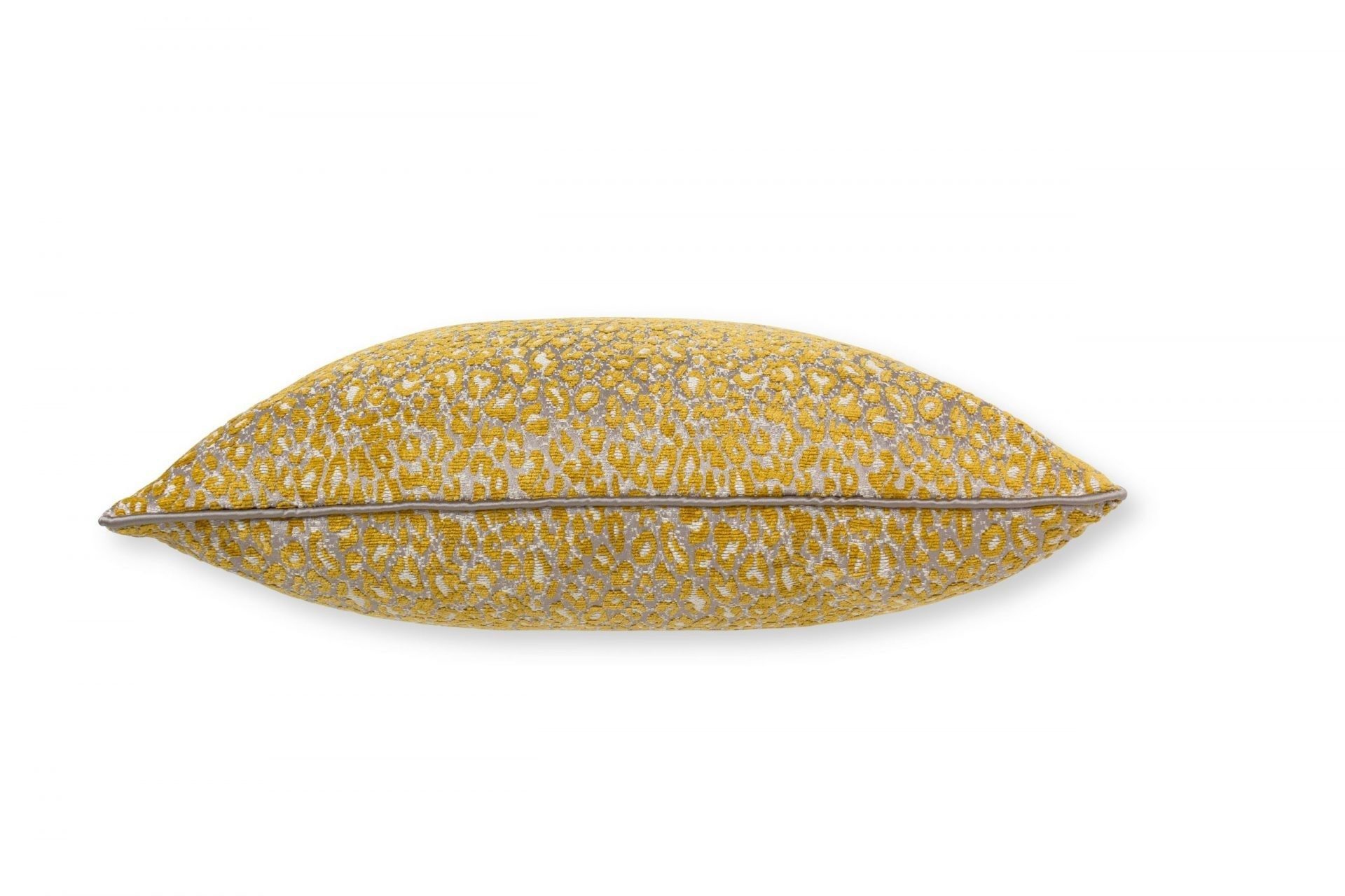 pardus-yellow-1